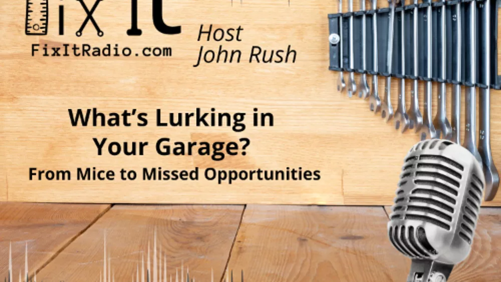 artworks-o2xstqsmstunn6fe-eotokq-t3000x3000813734