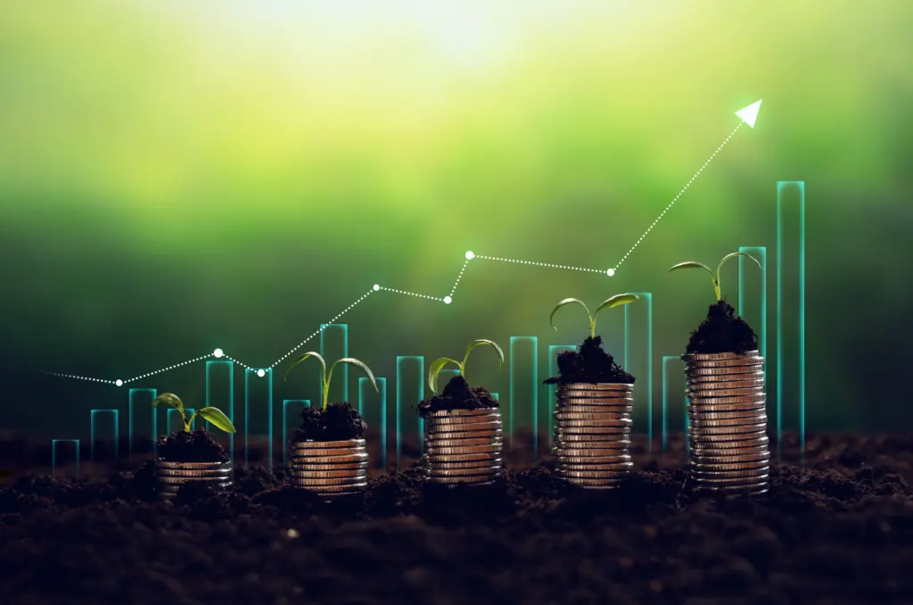 Envato Market