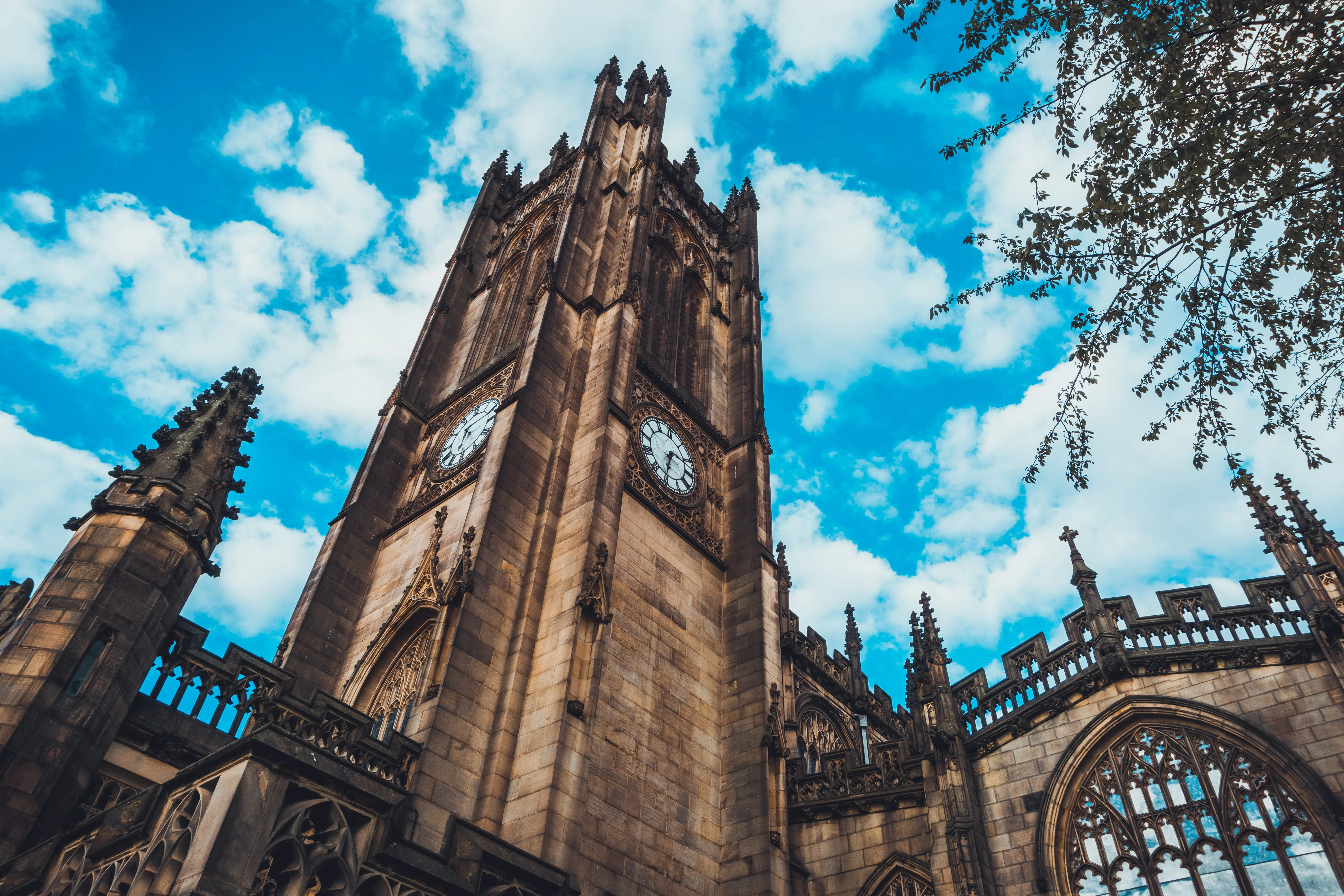 Envato Market