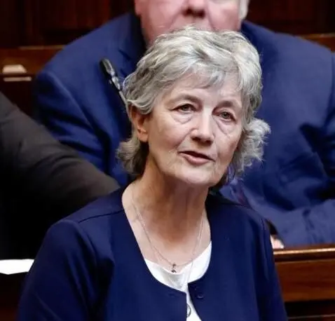 Houses of the Oireachtas, CC BY 2.0 , via Wikimedia Commons