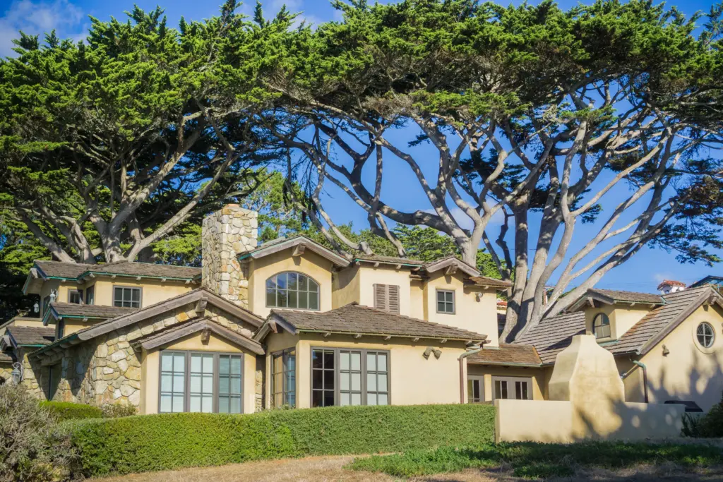 Beautiful Luxury Home / Envato Market