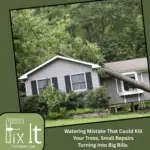 Watering Mistake That Could Kill Your Trees. Small Repairs Turning Into Big Bills. (4-25-26)