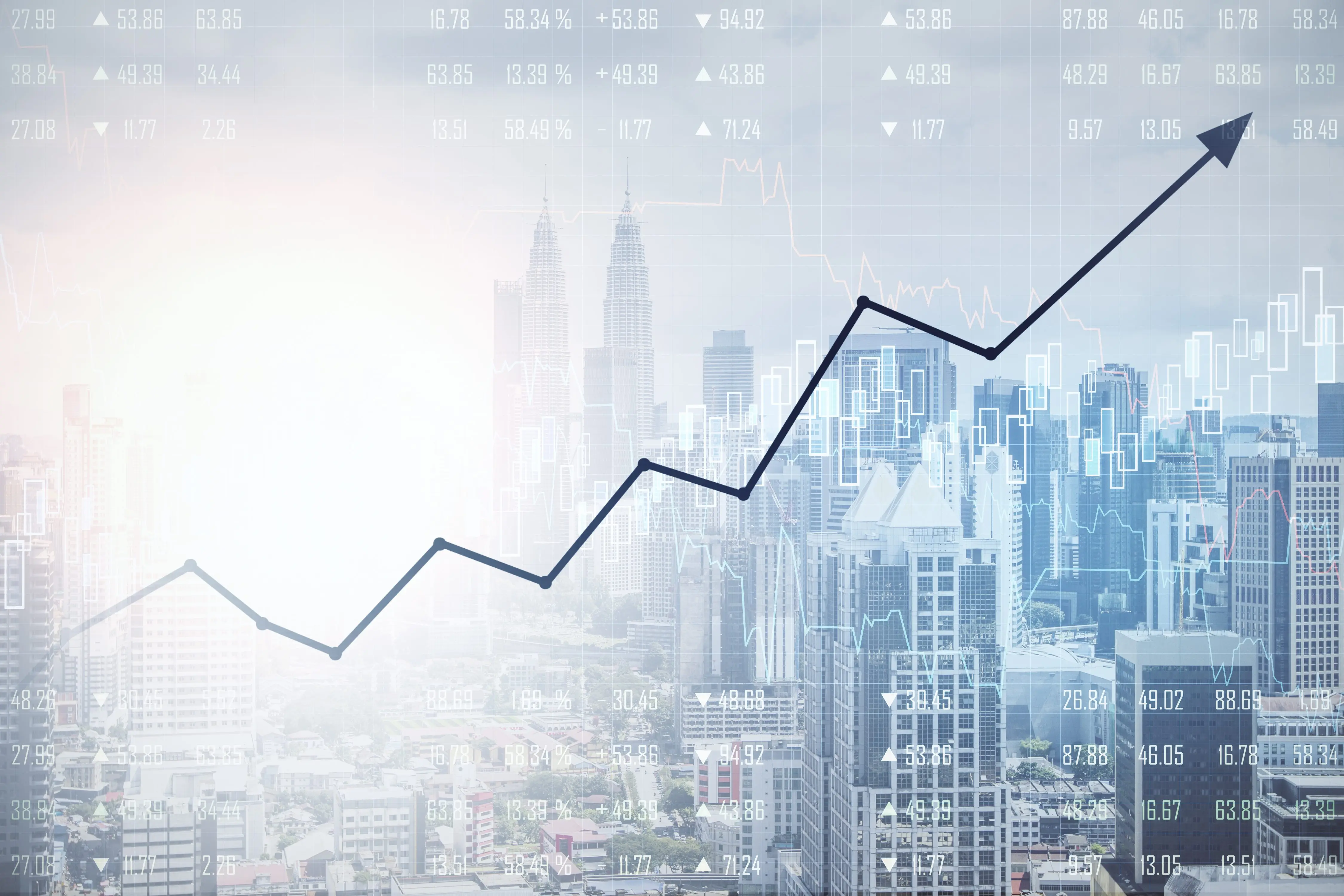 Envato Market