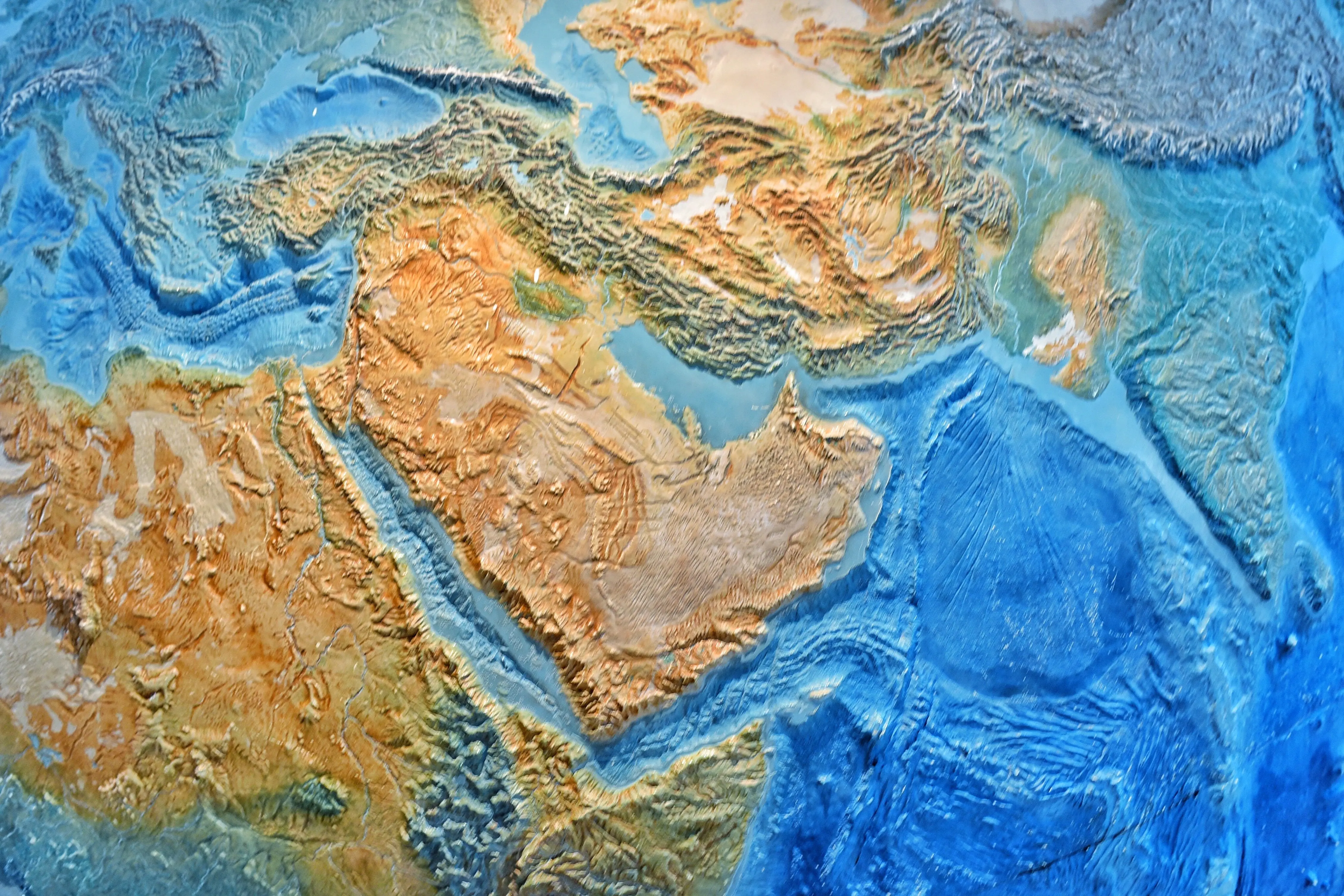 Envato Market