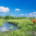 The Michigan Ag Today Podcast for 4/28/25