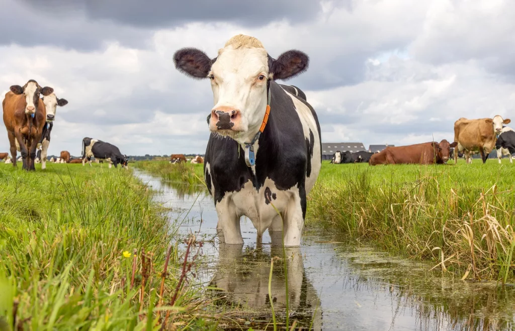 WOTUS Clean Water Act