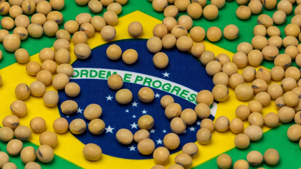 BRAZIL-SOYBEANS.jpeg