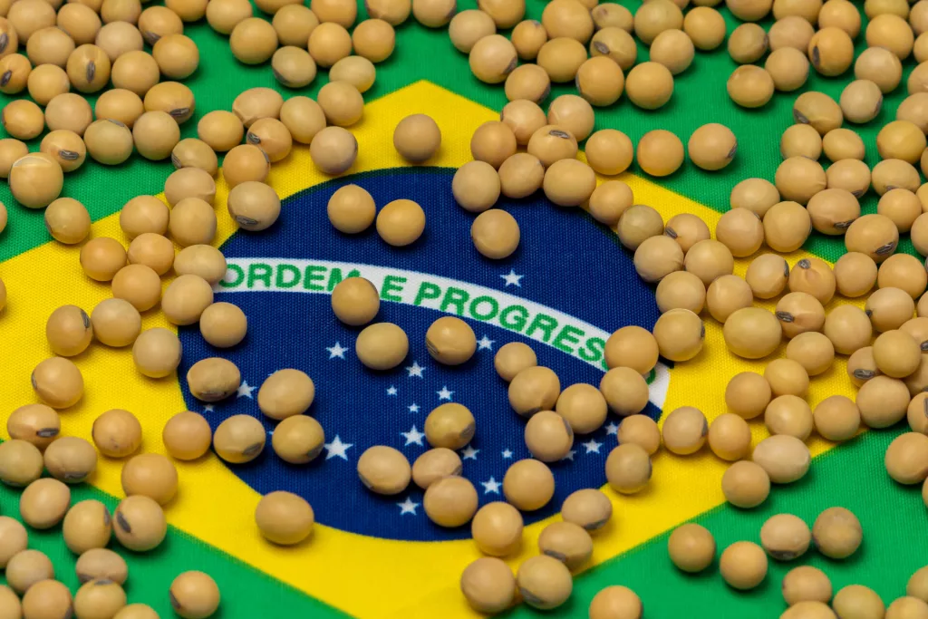 BRAZIL-SOYBEANS.webp