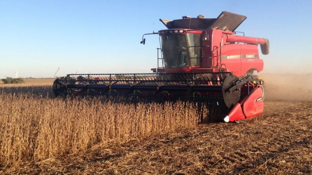 SOYBEAN-HARVEST-CASE-IH-EDIT-FOR-WEB.webp