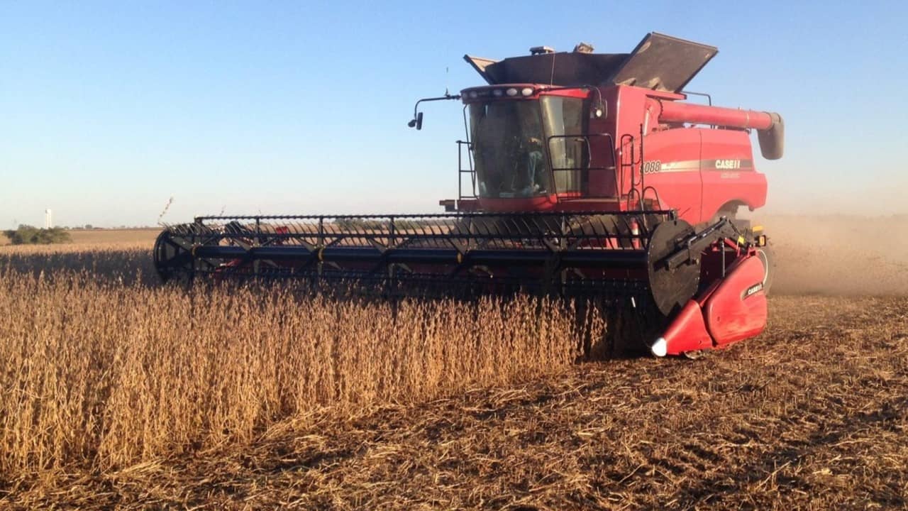 SOYBEAN-HARVEST-CASE-IH-EDIT-FOR-WEB.jpg
