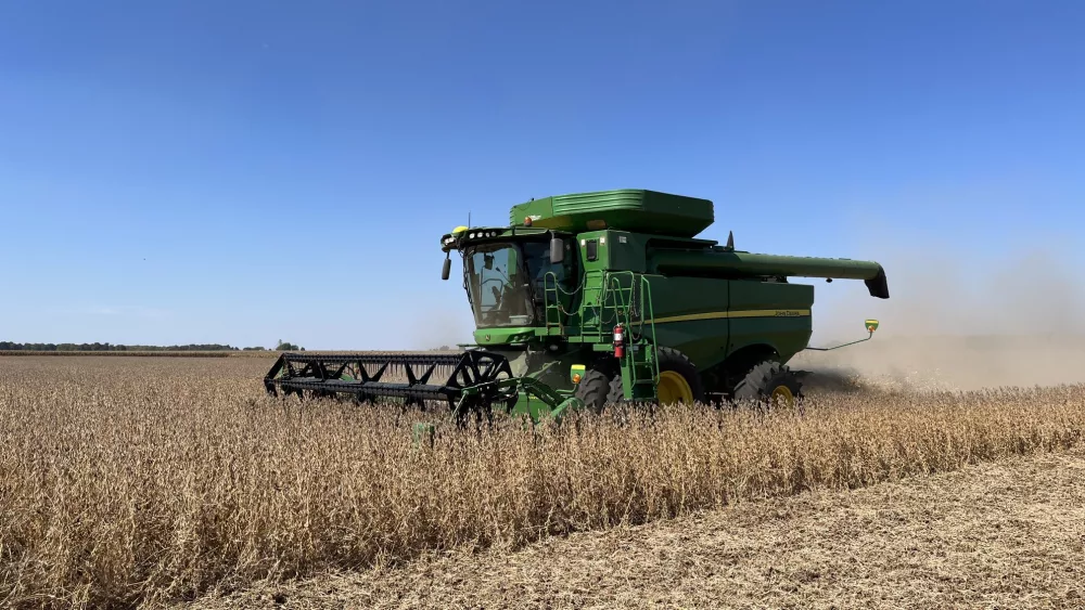 soybean harvest