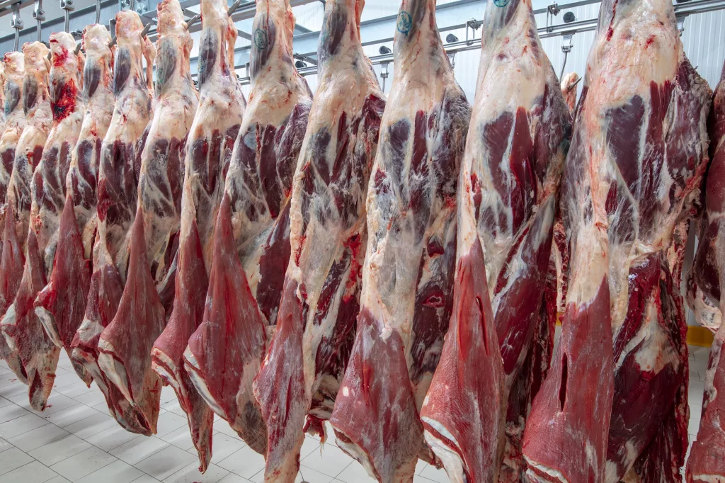 meat
