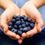 The Michigan Ag Today Podcast for 12/2/24