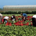 The Michigan Ag Today Podcast for 9/3/25