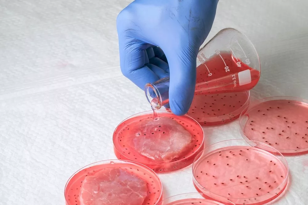 fake lab cell cultivated meat fda