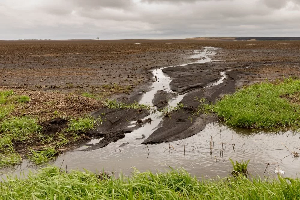 wet-field