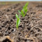 The Michigan Ag Today Podcast for 5/15/25
