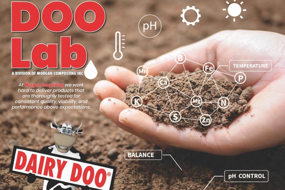 soil sample