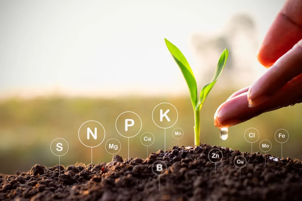 soil-nutrients-jpg