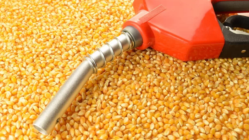 ethanol-corn-made-biofuel-resize-for-web-jpeg-2