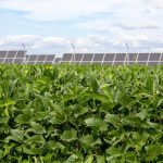 The Michigan Ag Today Podcast for 2/5/25
