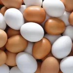 The Michigan Ag Today Podcast for 4/18/25