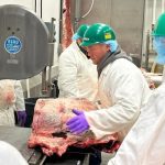 The Michigan Ag Today Podcast for 6/2/25