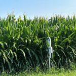 The Michigan Ag Today Podcast for 8/7/25