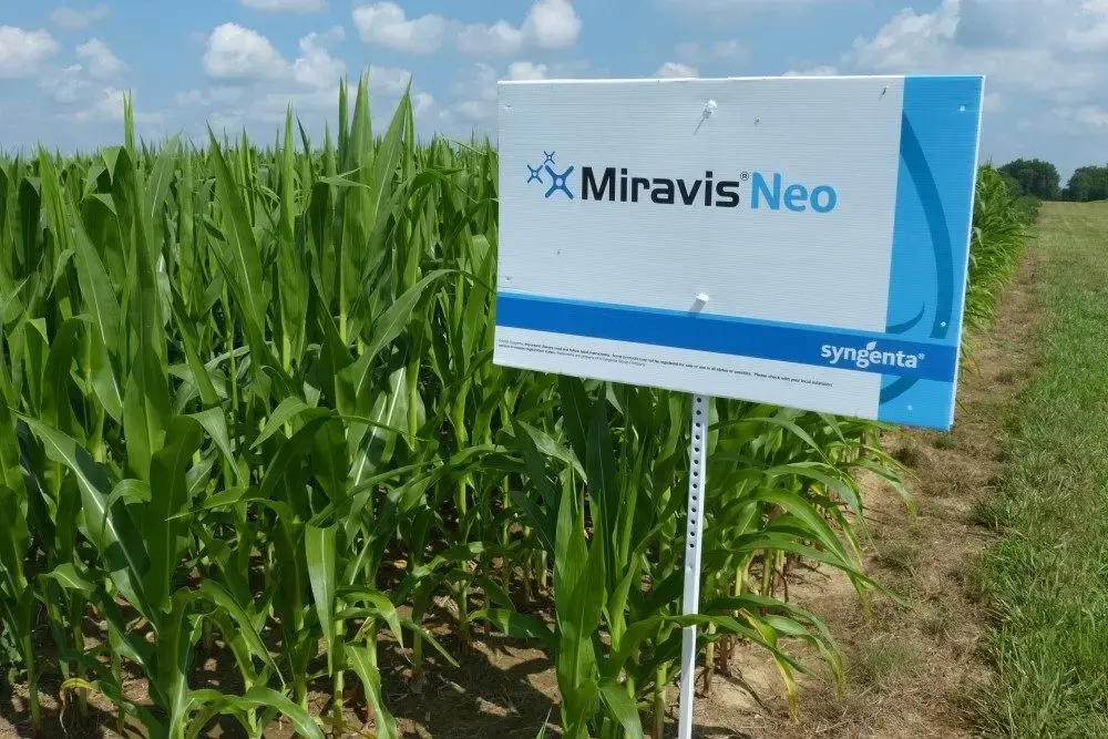 miravis neo