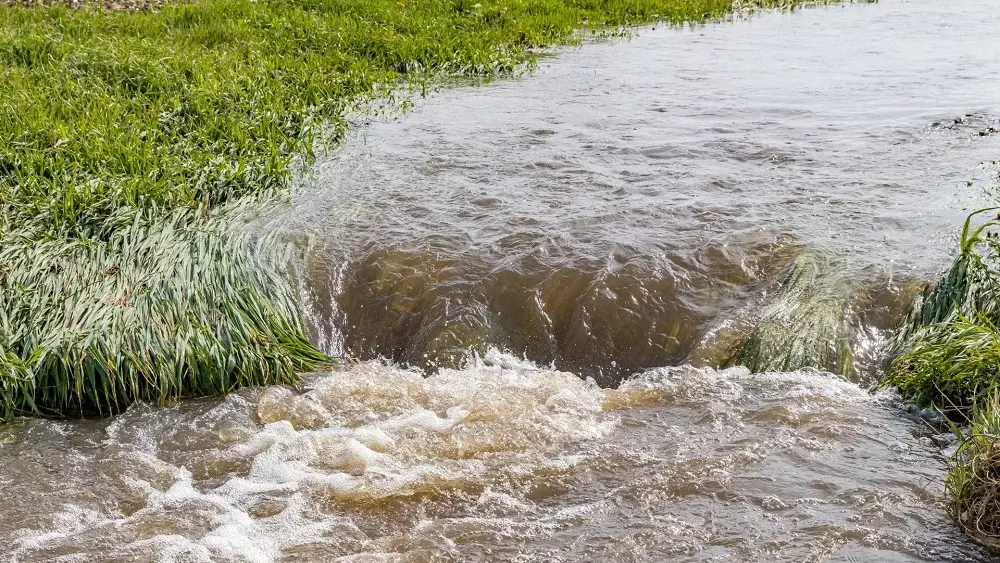 wotus