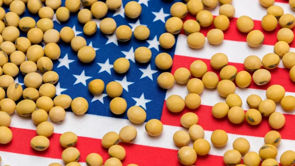 us-soybeans-jpg-2