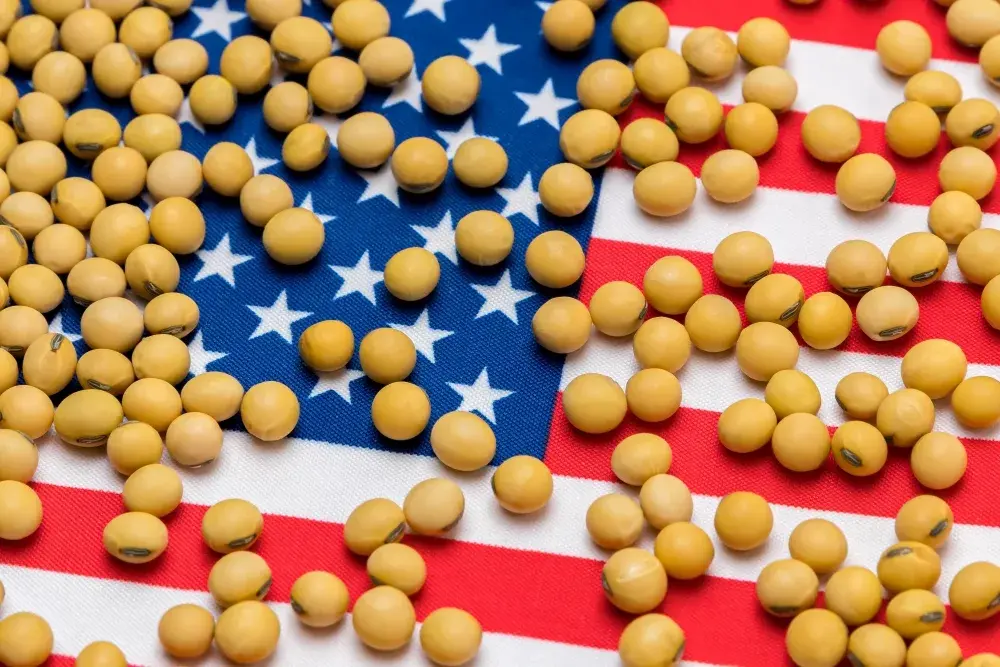 us-soybeans-jpg-2