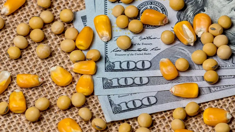 corn-soybeans-money-jpeg-6