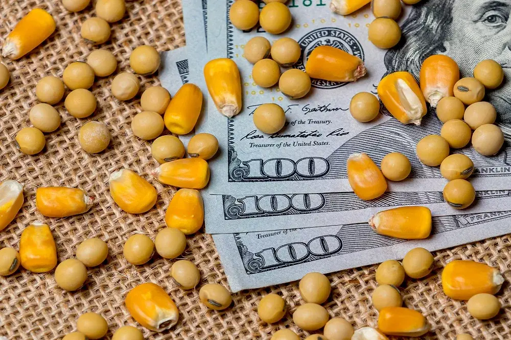 corn-soybeans-money-jpeg-6
