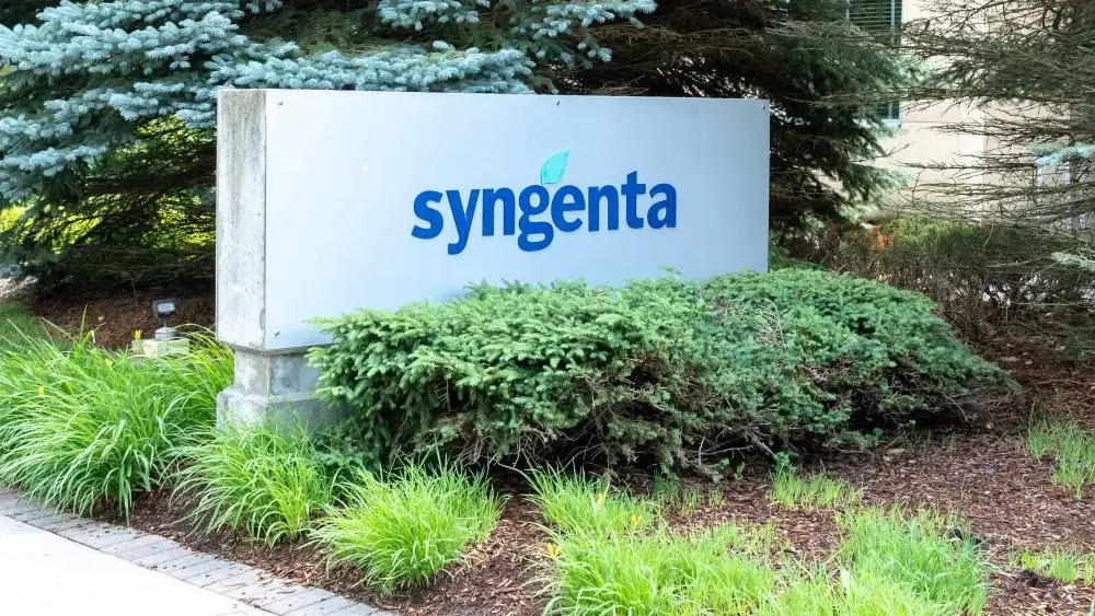 syngenta
