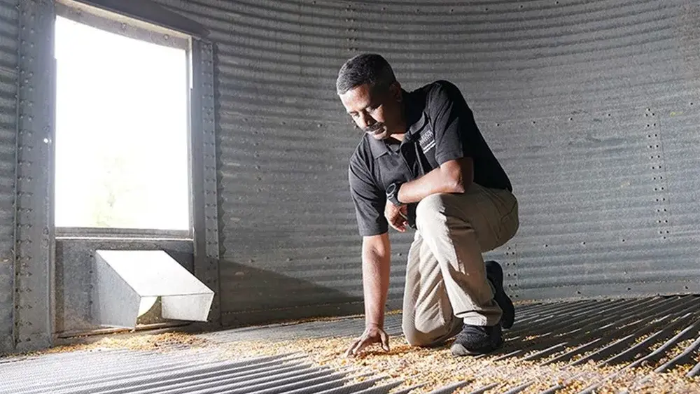 kingsly-ambrose-purdue-dust-bin-study-edit-for-web-jpg-2