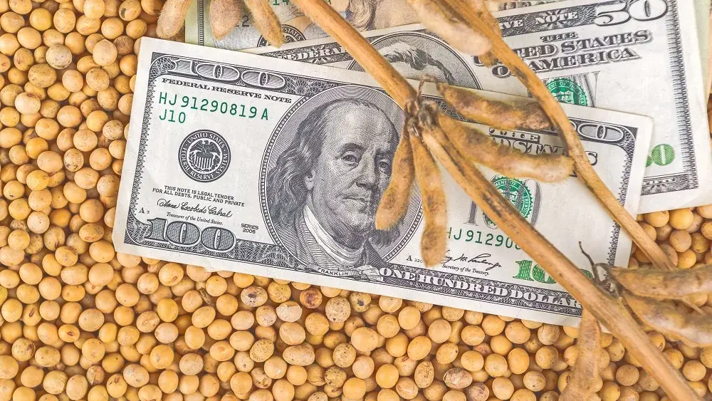 soybeans-cash-money-jpeg-5
