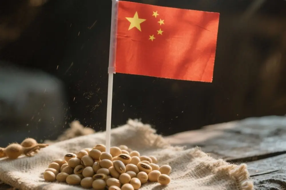 China Is Back to Buying US Soybeans: What It Means for Farmers and Prices