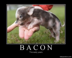 The-early-years-of-bacon-500x400