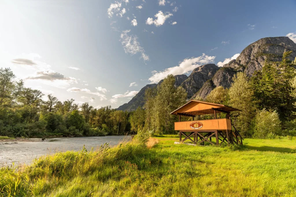 666cd662e965b-image_