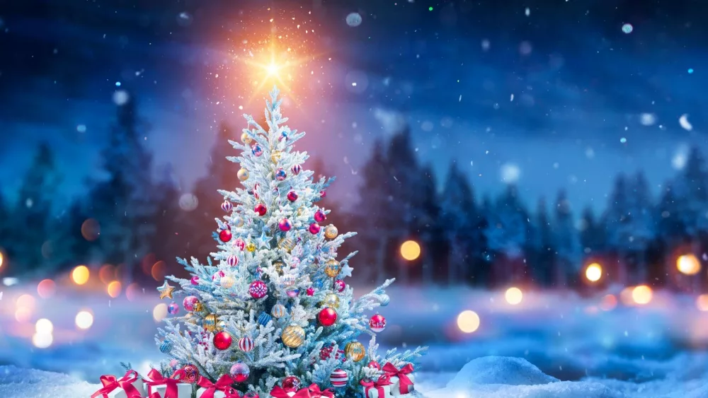 Christmas Tree And Gift Boxes On Snow In Night With Shiny Star and Forest - Winter Abstract Landscape