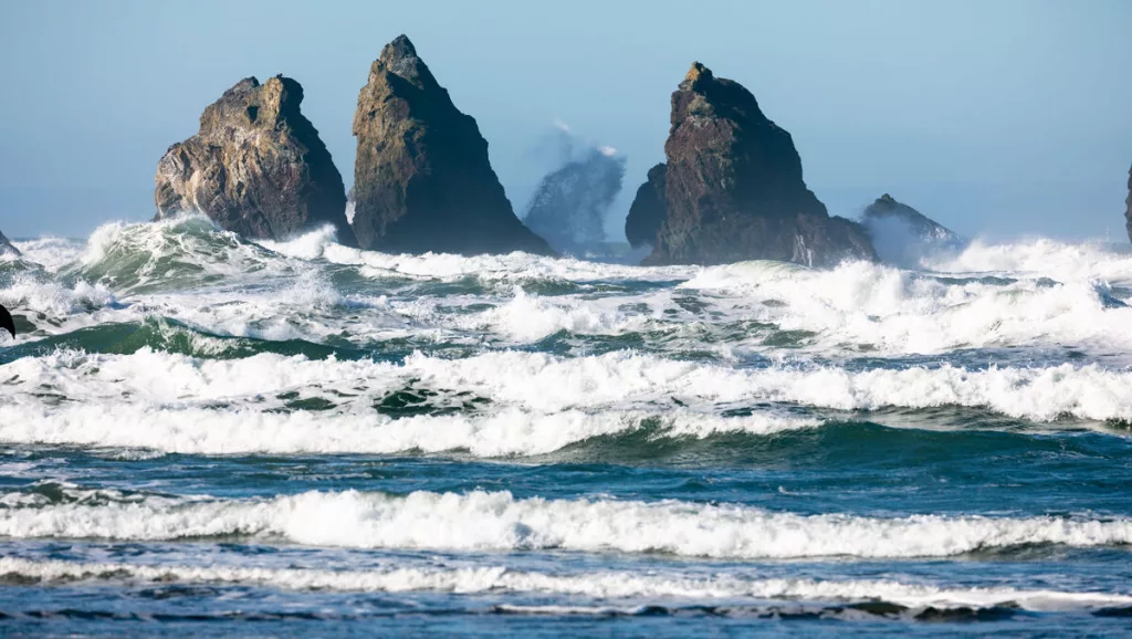 6757ca708791e-image_