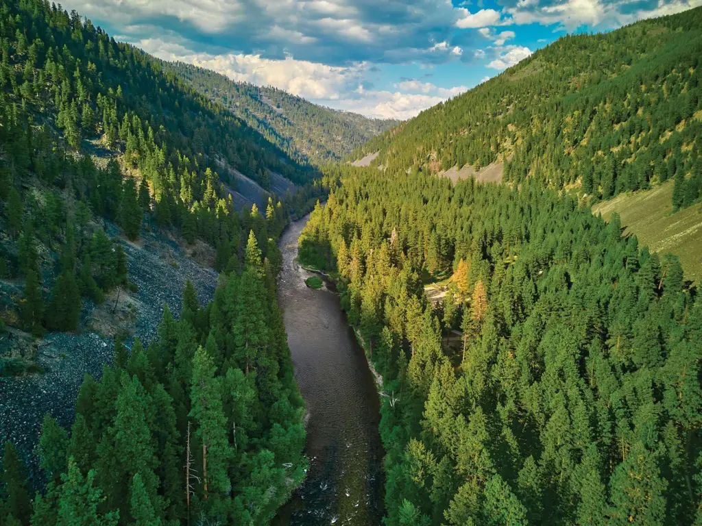 68d09ad06f12a-image_