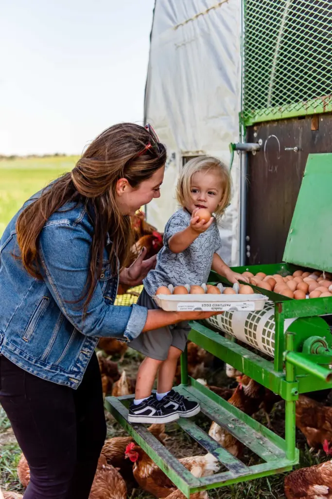 68eece48d03d4-image_