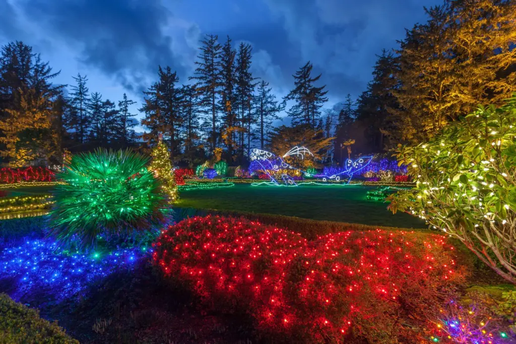 6914f2988318c-image_