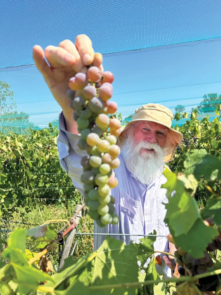 69333e5c12055-image_