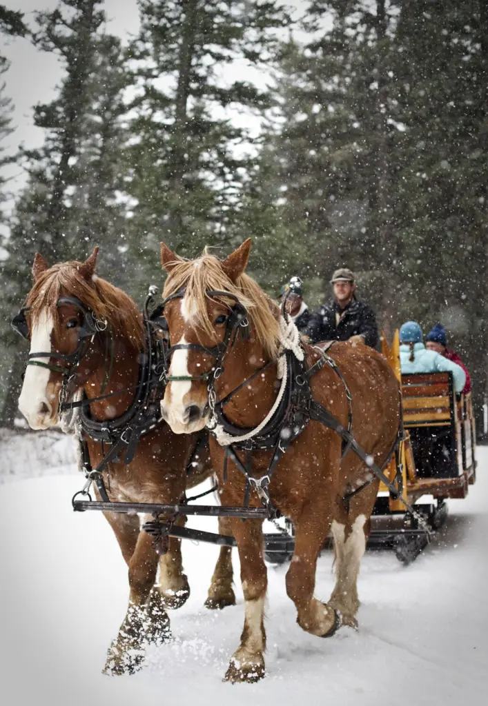 69499980e810a-image_