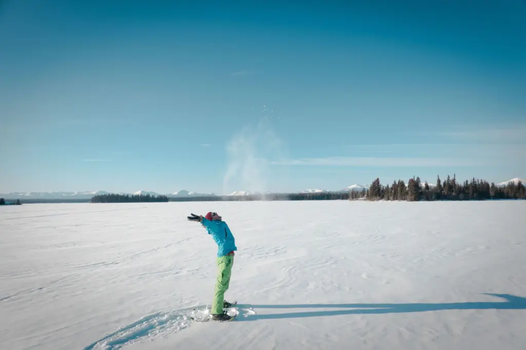 695c3dc63bd9a-image_