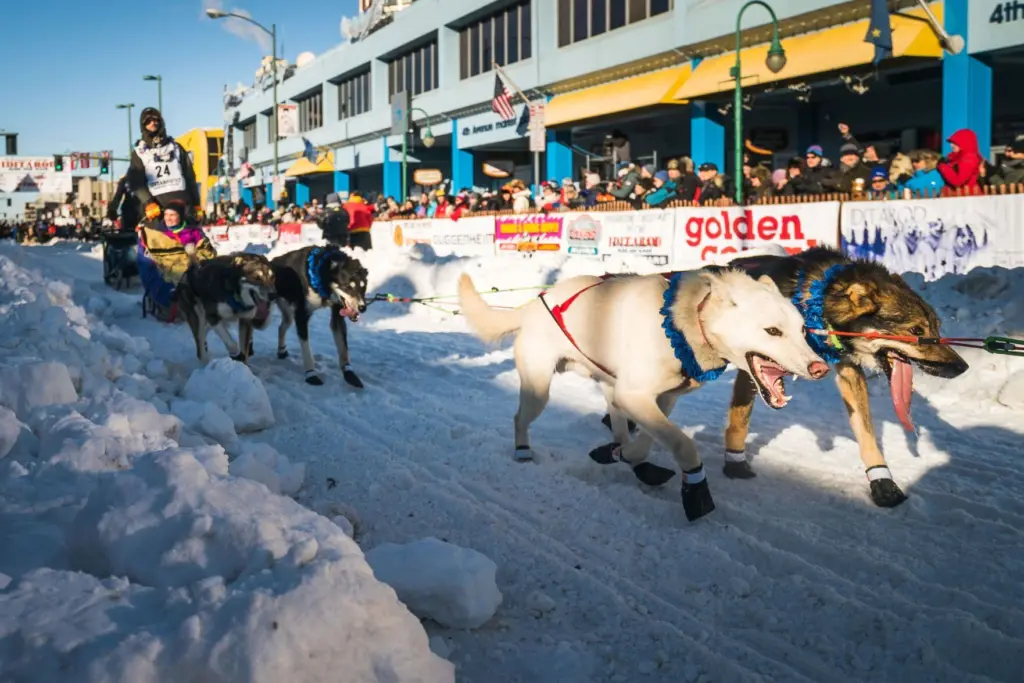 6961a3e60b6f5-image_