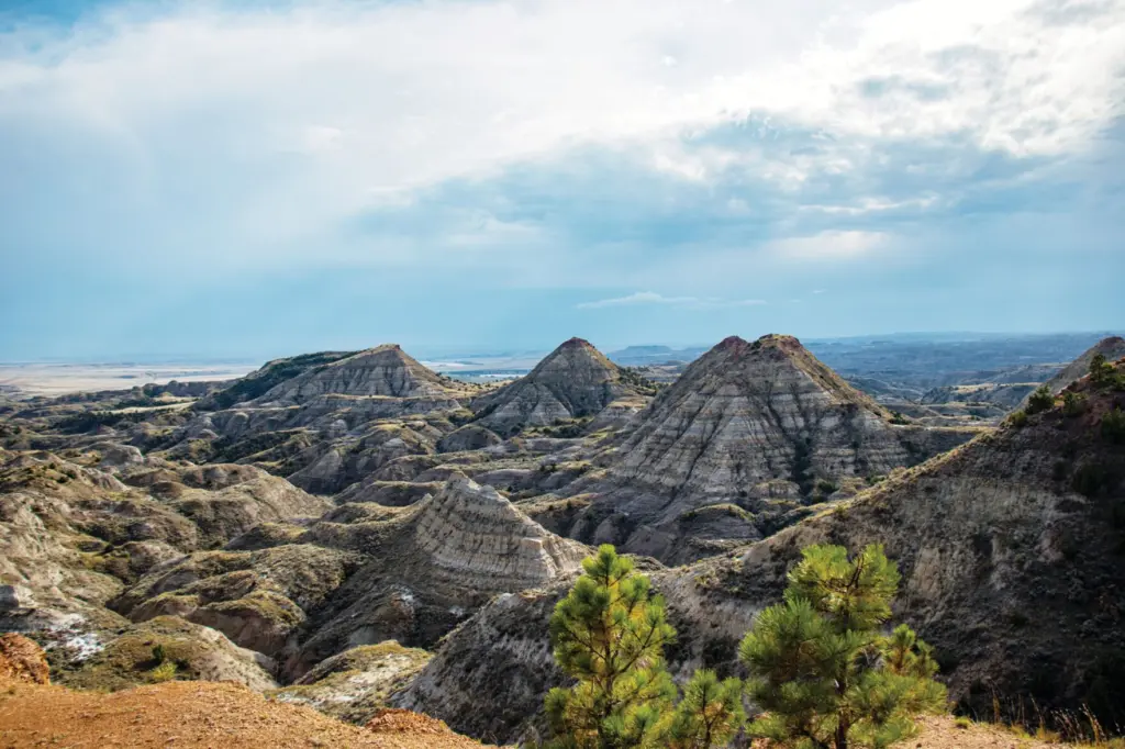 6977bf46b2cd9-image_